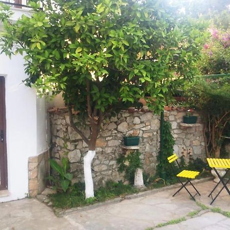 Nehir Dalyan Boutique Otel Ortaca  外观 照片