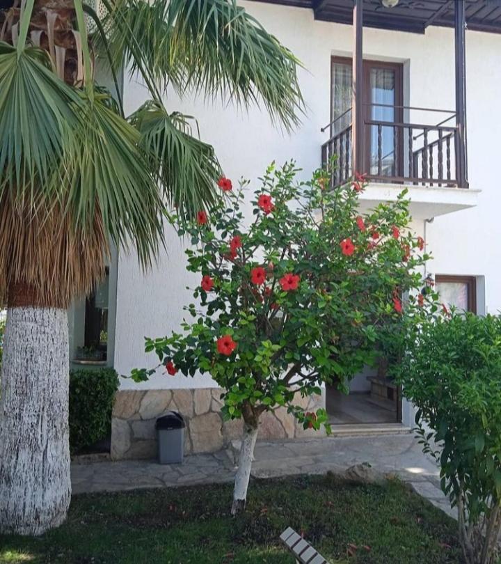 Nehir Dalyan Boutique Otel Ortaca  外观 照片
