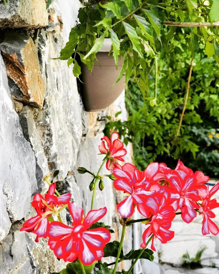 Nehir Dalyan Boutique Otel Ortaca  外观 照片